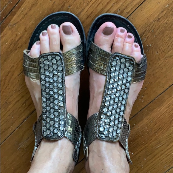 Steve Madden Shoes - ☀️Steve Madden Gladiator Metallic Sandals Size 9🔅